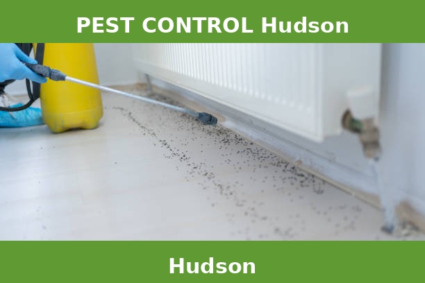PEST CONTROL Hudson